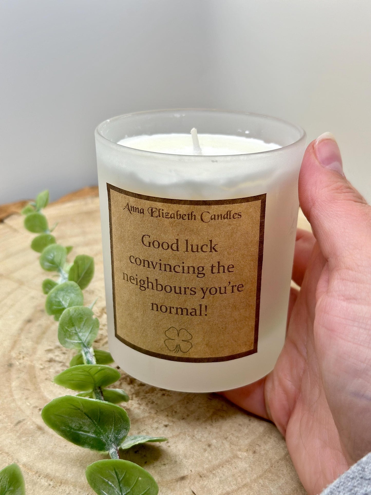 New Home Gift, 'Good Luck Convincing The Neighbours You're Normal', Funny Candle Gifts, Funny home decor, Gifts for friends, Scented Candle
