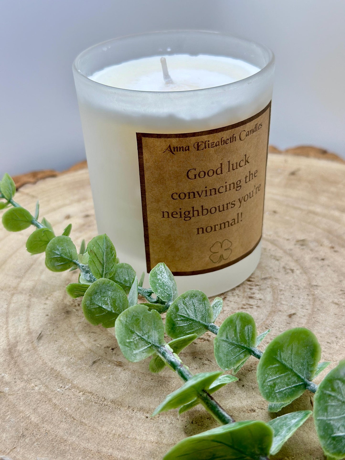 New Home Gift, 'Good Luck Convincing The Neighbours You're Normal', Funny Candle Gifts, Funny home decor, Gifts for friends, Scented Candle