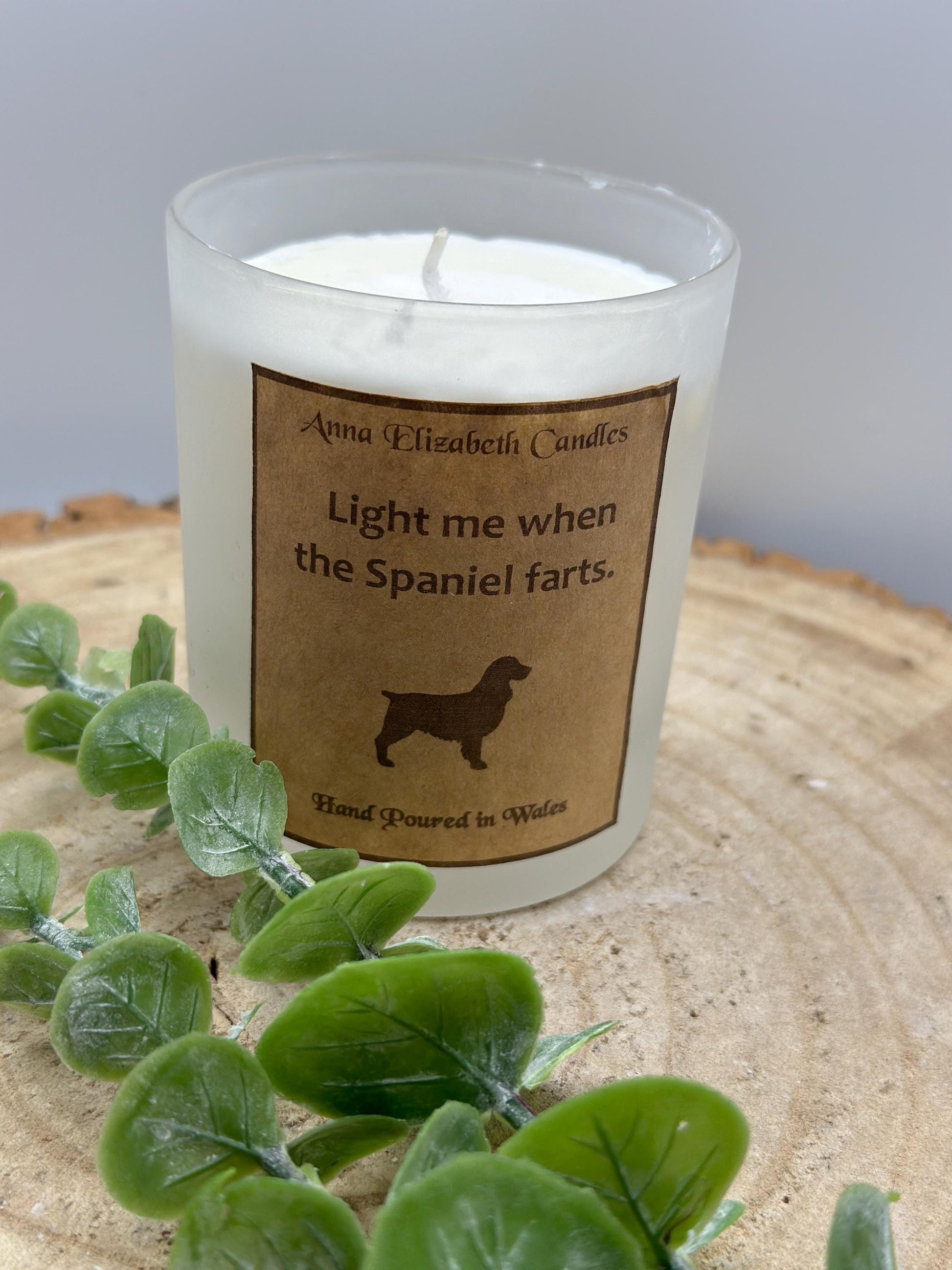 Light Me When The Dog Farts Candle, Personalised Dog Breed Candles, Medium Frosted Candles, Soy Wax Candle Gifts, Handmade in Wales,