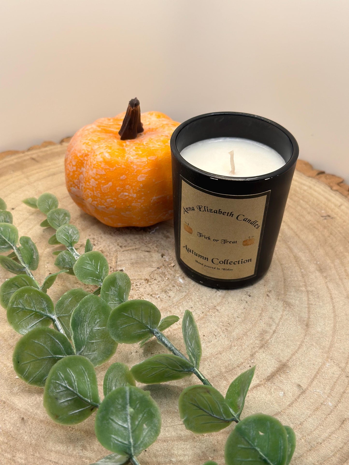 Autumn Candles, Mini Candle, Autumn inspired Candles, Halloween Candles, Pumpkin Spice, Witches Brew, Trick or Treat, Autumn Walks,