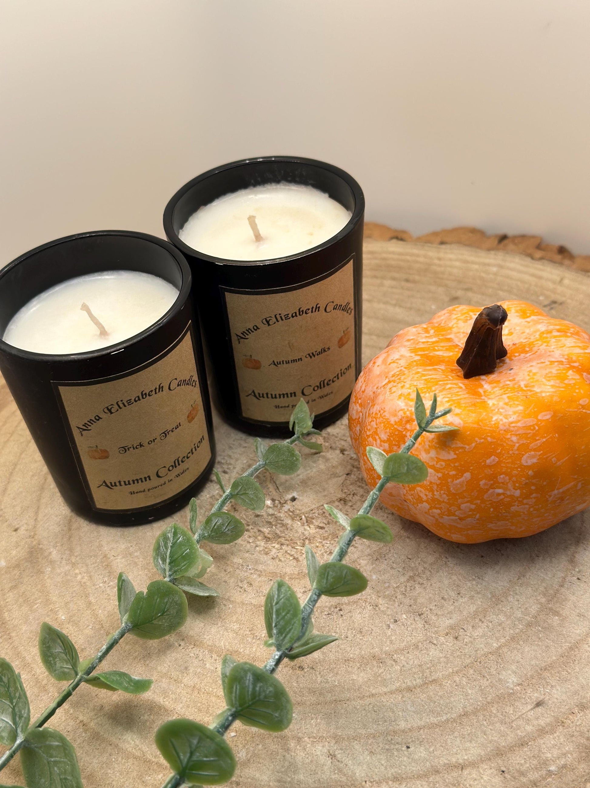 Autumn Candles, Mini Candle, Autumn inspired Candles, Halloween Candles, Pumpkin Spice, Witches Brew, Trick or Treat, Autumn Walks,