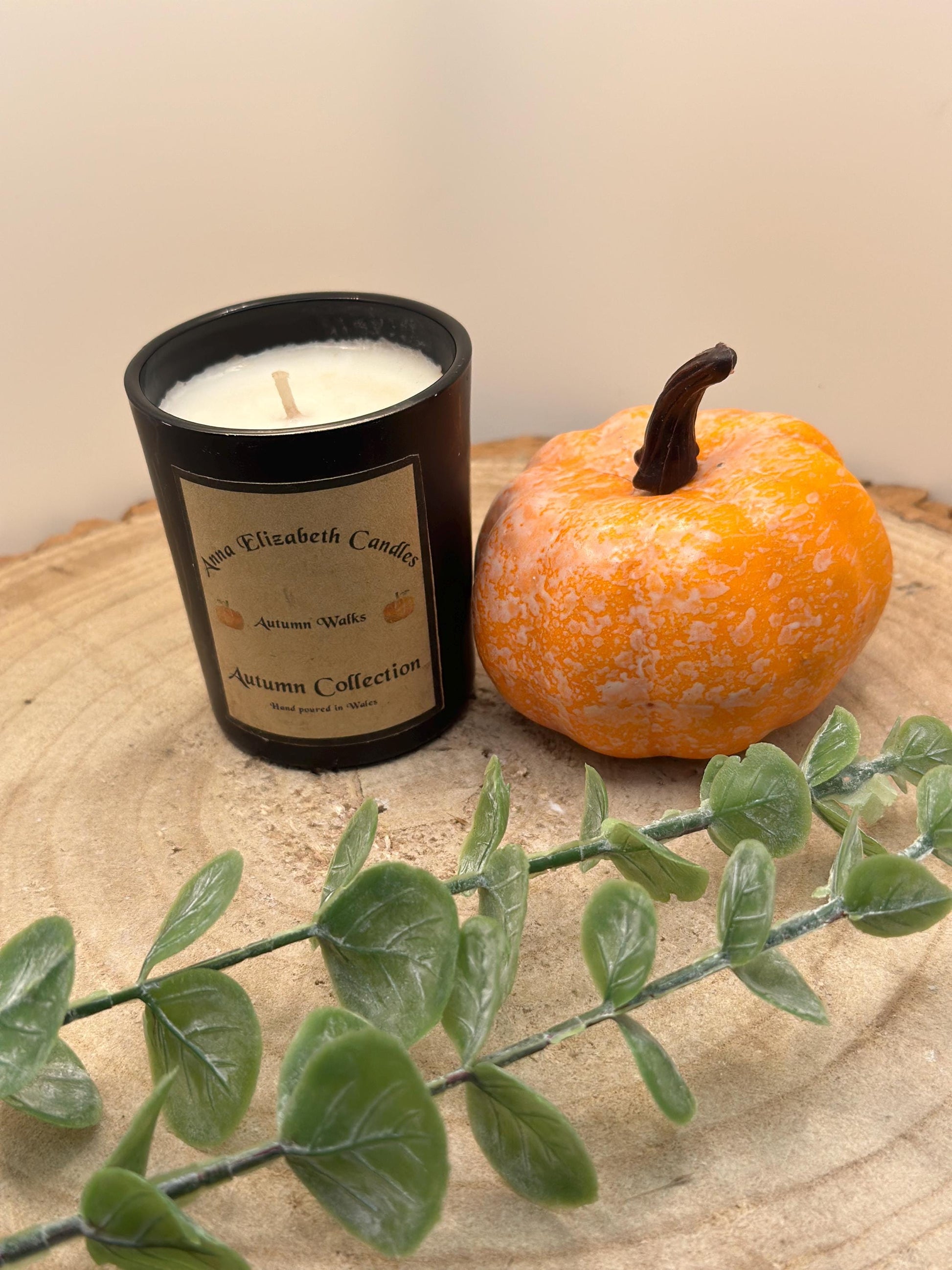 Autumn Candles, Mini Candle, Autumn inspired Candles, Halloween Candles, Pumpkin Spice, Witches Brew, Trick or Treat, Autumn Walks,