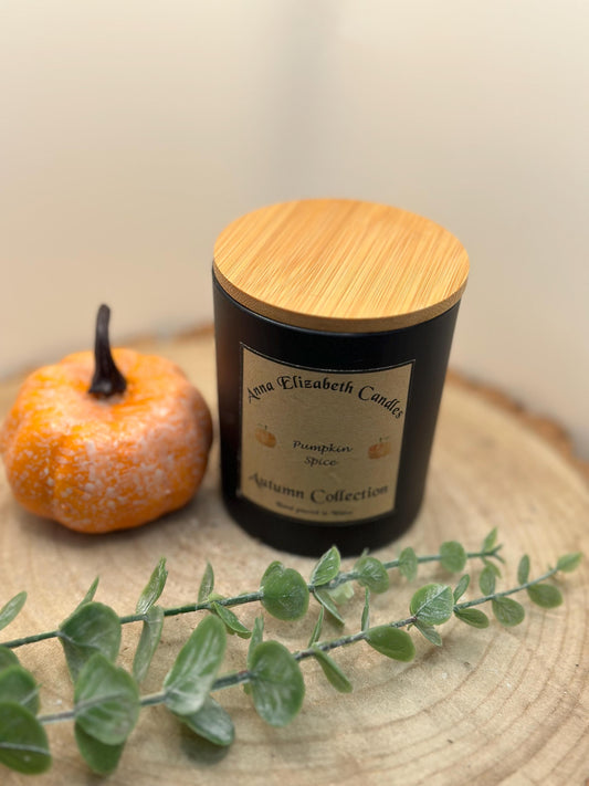 Autumn Candles, Large Autumn Candle, Autumn inspired Candles, Halloween Candles, Pumpkin Spice, Witches Brew, Trick or Treat, Autumn Walks,