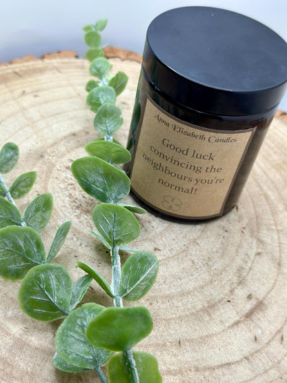 New Home Gift, 'Good Luck Convincing The Neighbours You're Normal', Funny Candle Gifts, Funny home decor, Gifts for friends, Scented Candle