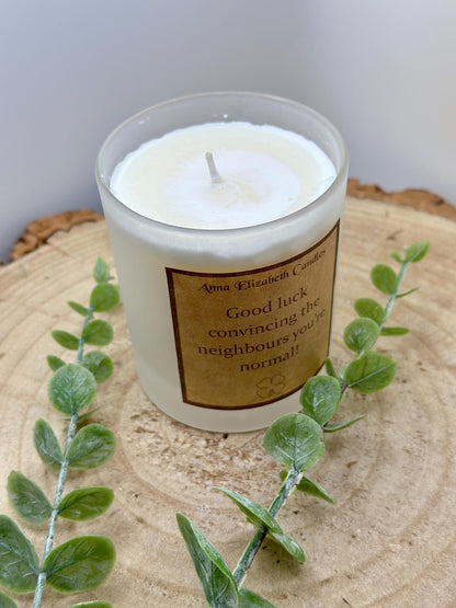New Home Gift, 'Good Luck Convincing The Neighbours You're Normal', Funny Candle Gifts, Funny home decor, Gifts for friends, Scented Candle