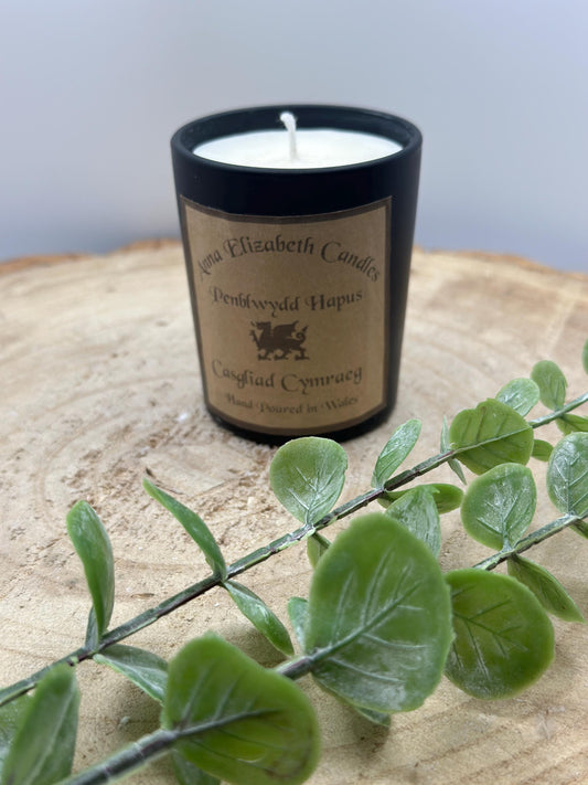 Welsh Candles, Birthday Candle, Soy Wax Candles, Scented Candle Gifts, Gifts for Her, Birthday Gifts, Gifts for him, Hand made in Wales