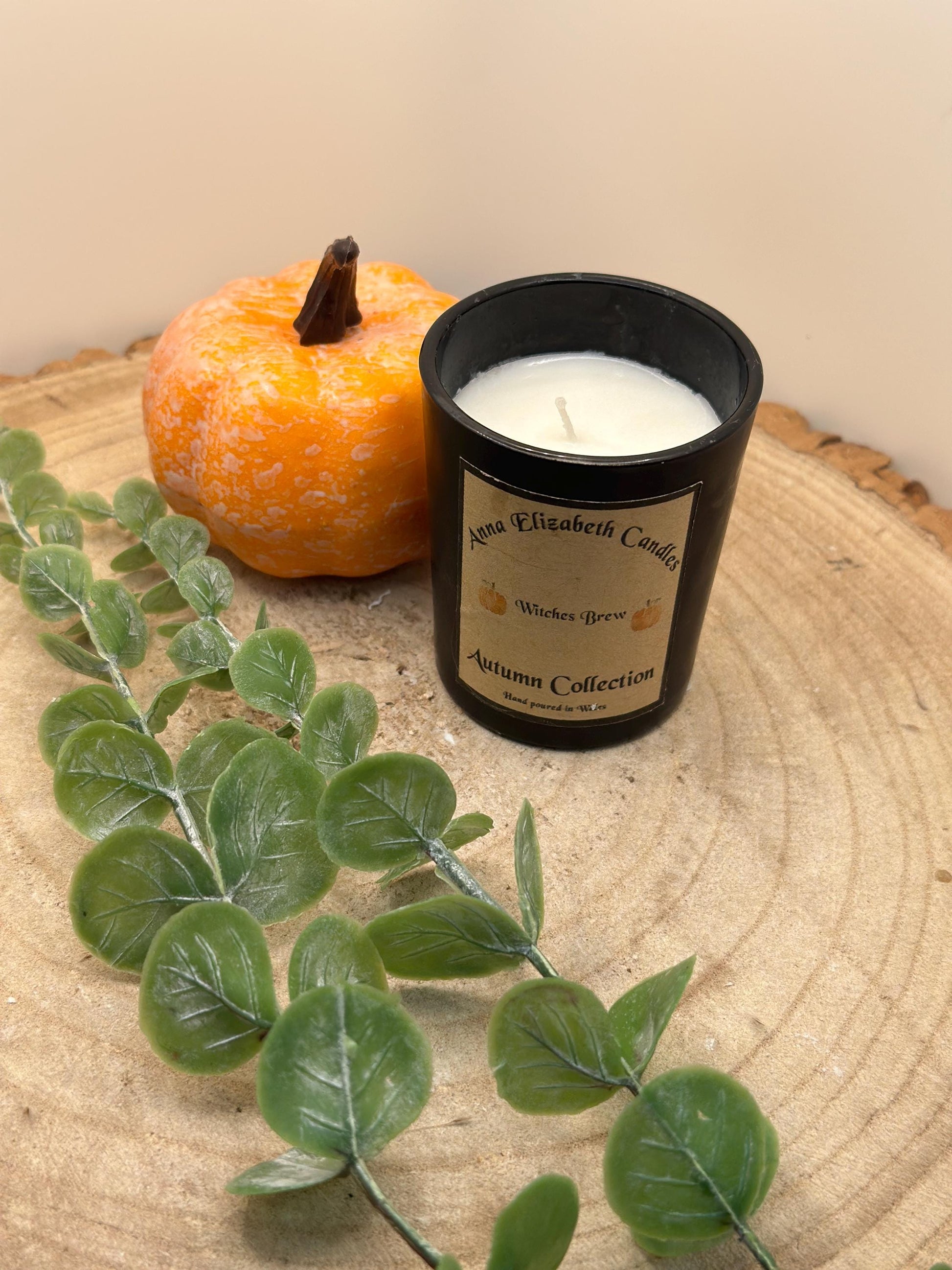 Autumn Candles, Mini Candle, Autumn inspired Candles, Halloween Candles, Pumpkin Spice, Witches Brew, Trick or Treat, Autumn Walks,