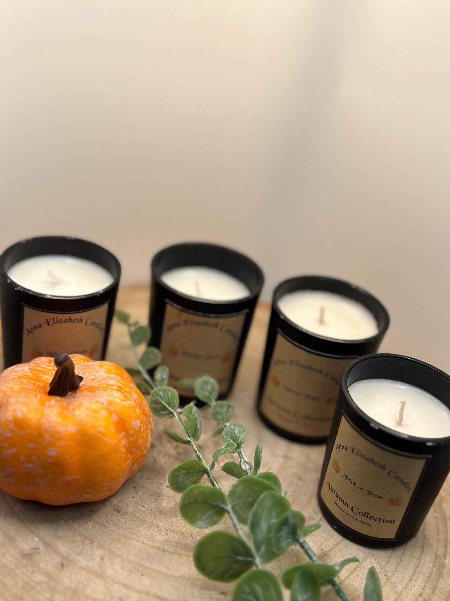 Autumn Candles, Mini Candle, Autumn inspired Candles, Halloween Candles, Pumpkin Spice, Witches Brew, Trick or Treat, Autumn Walks,