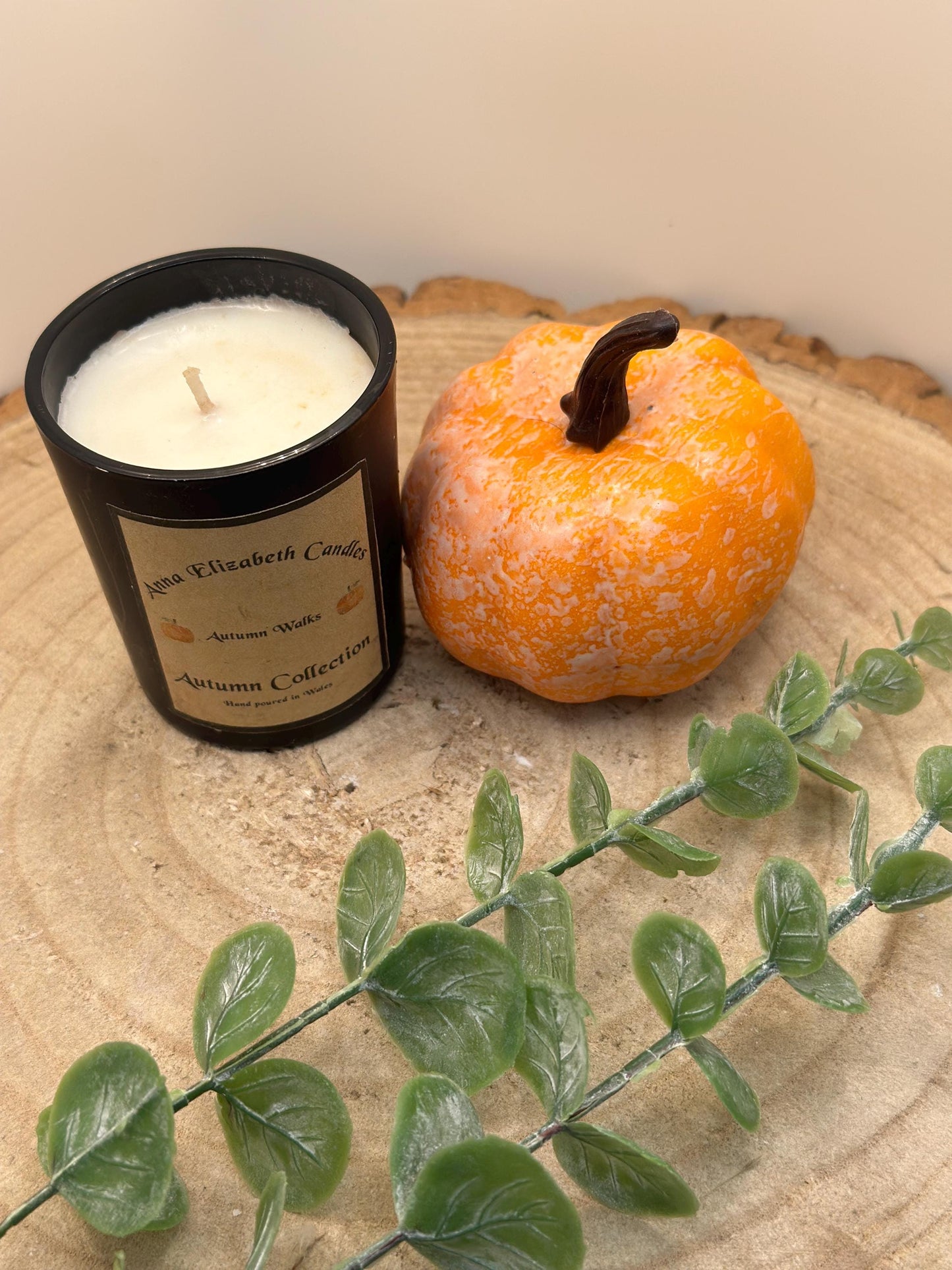 Autumn Candles, Mini Candle, Autumn inspired Candles, Halloween Candles, Pumpkin Spice, Witches Brew, Trick or Treat, Autumn Walks,