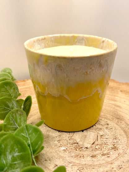 Wellness Candle, Energy Boosting Candle, A Pot of Energy, Mood Boosting Candle, Reusable Candle, Candle With Essentail Oils, Natural Candle