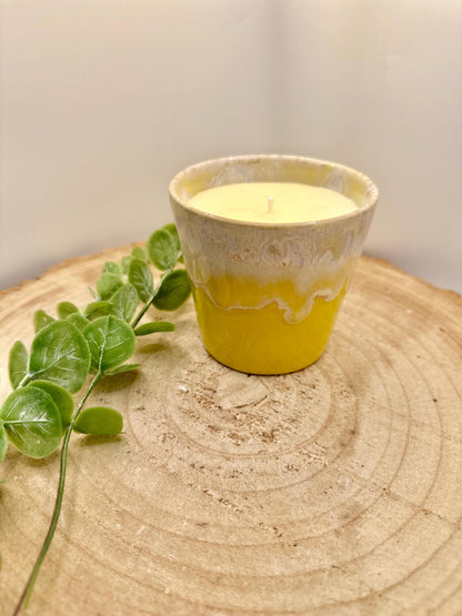 Wellness Candle, Energy Boosting Candle, A Pot of Energy, Mood Boosting Candle, Reusable Candle, Candle With Essentail Oils, Natural Candle