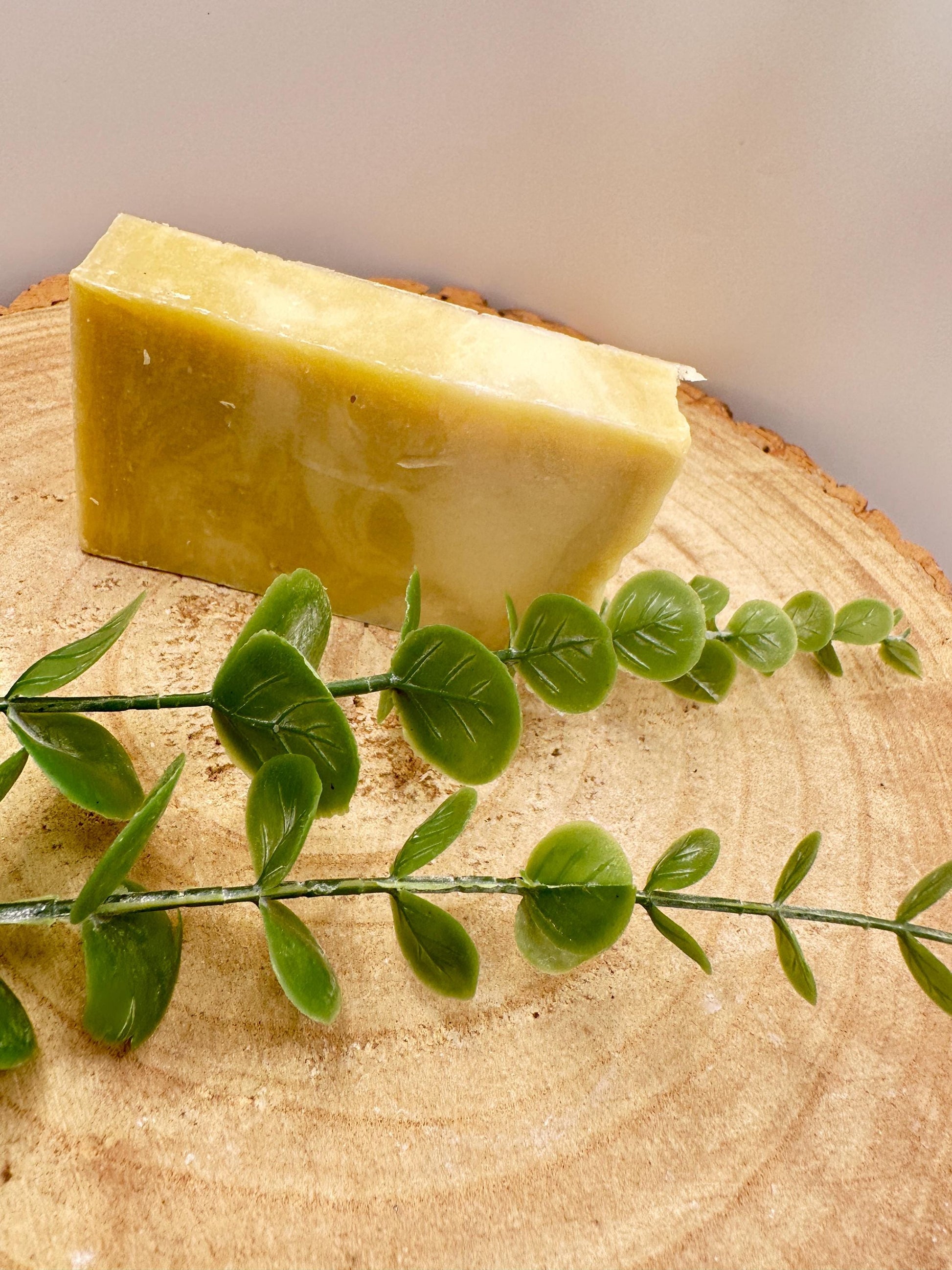 Argan Soap Bar, Nourishing Olive Oil Soap with Vitamin-Rich Argan Oil, Pamper Gift, Wellness Gift