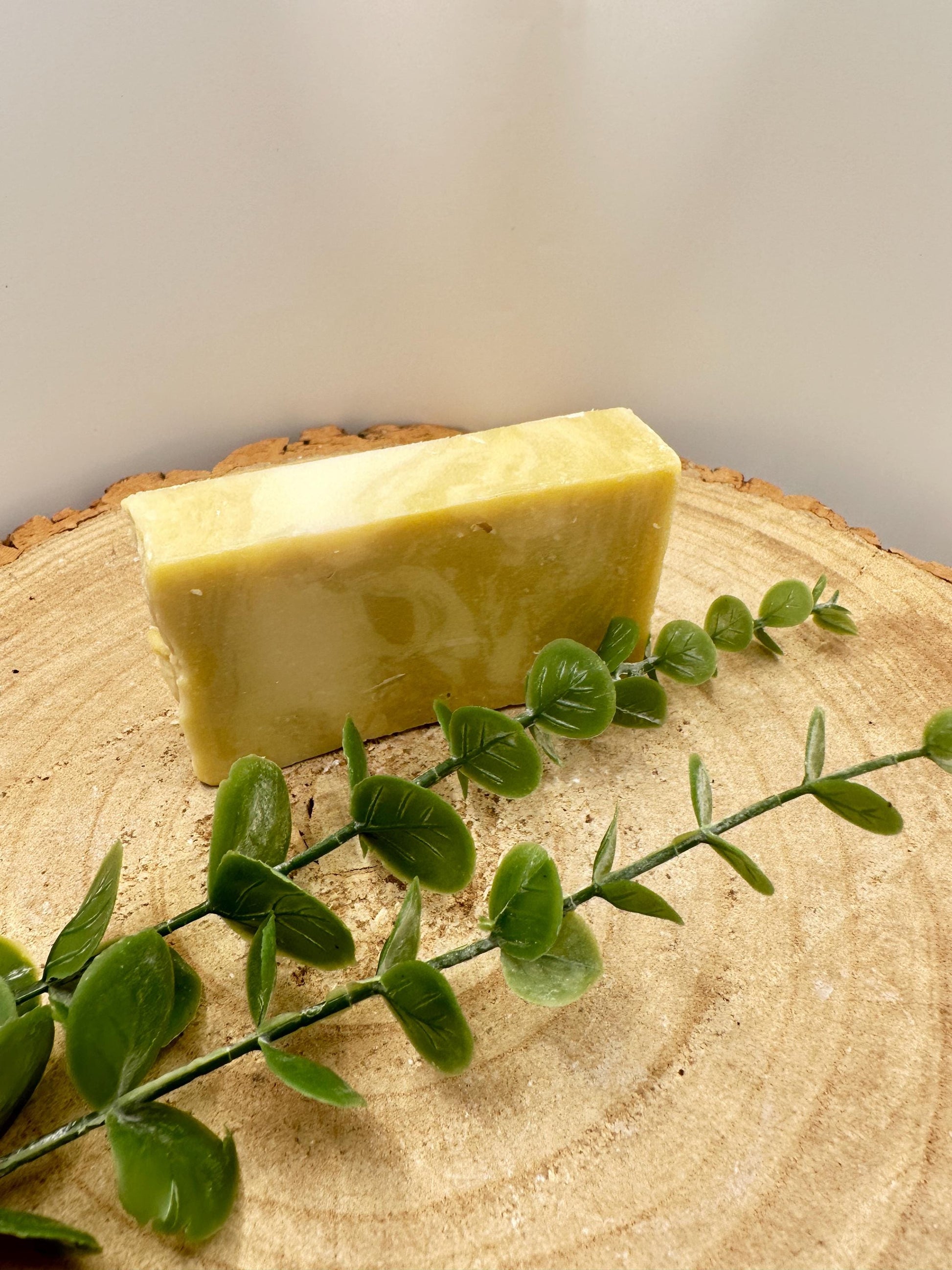 Argan Soap Bar, Nourishing Olive Oil Soap with Vitamin-Rich Argan Oil, Pamper Gift, Wellness Gift