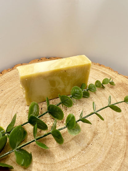 Argan Soap Bar, Nourishing Olive Oil Soap with Vitamin-Rich Argan Oil, Pamper Gift, Wellness Gift