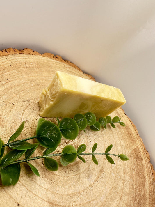 Argan Soap Bar, Nourishing Olive Oil Soap with Vitamin-Rich Argan Oil, Pamper Gift, Wellness Gift