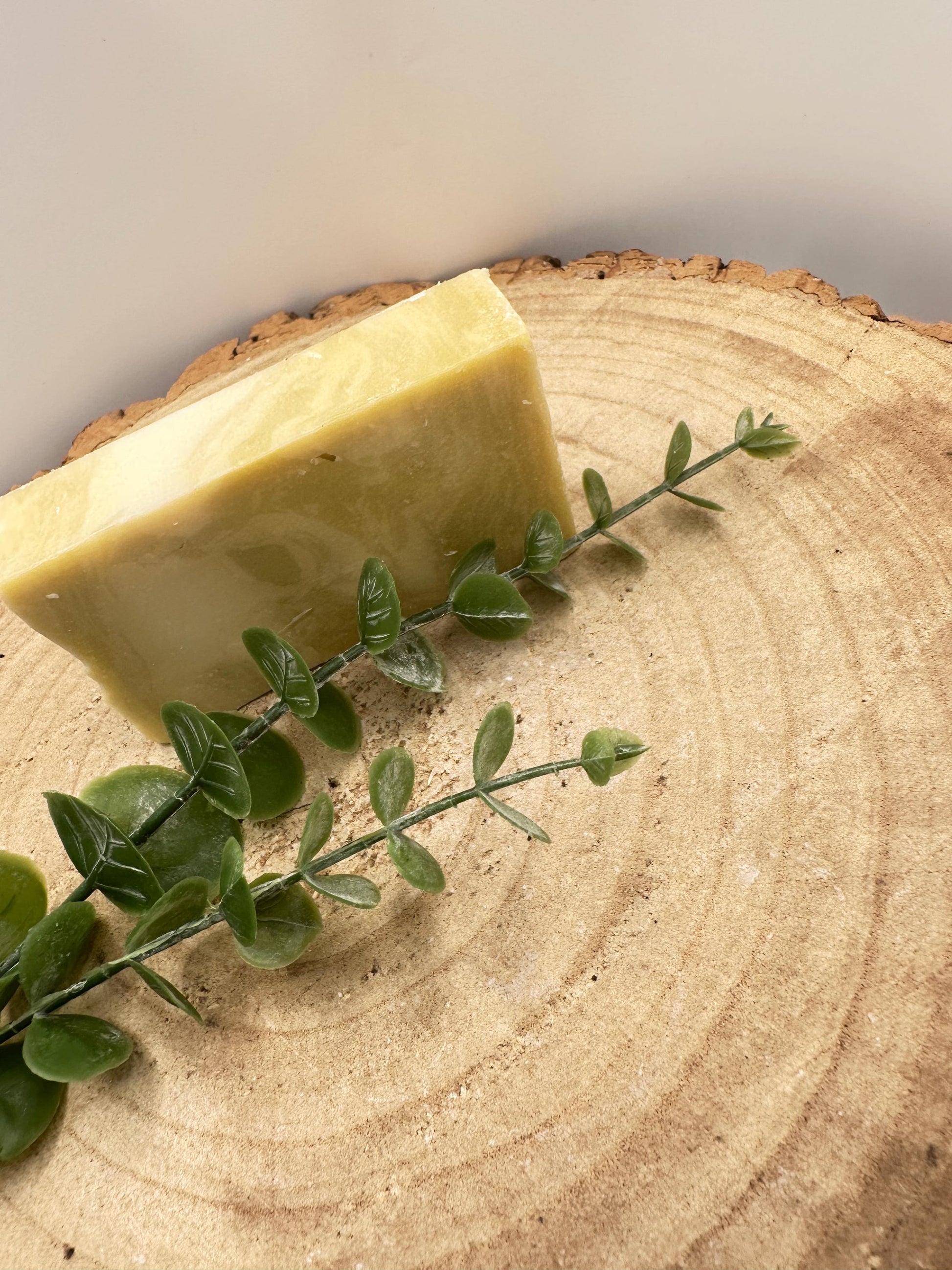 Argan Soap Bar, Nourishing Olive Oil Soap with Vitamin-Rich Argan Oil, Pamper Gift, Wellness Gift