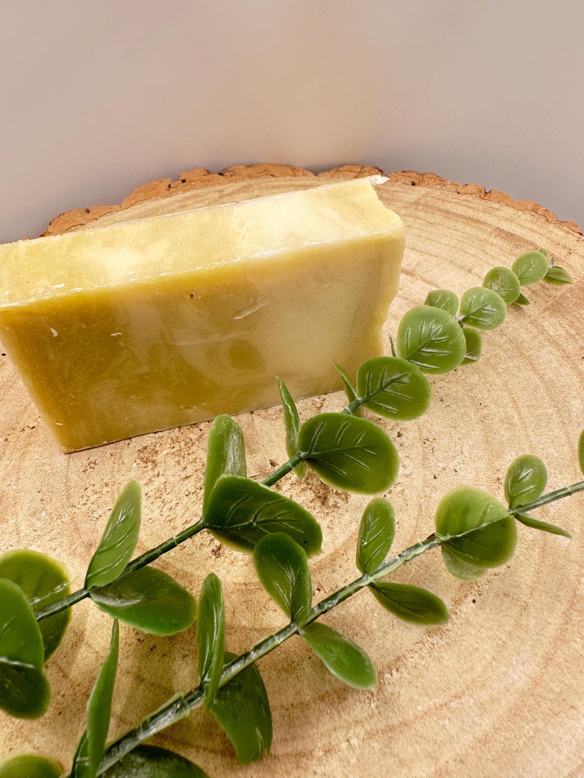 Argan Soap Bar, Nourishing Olive Oil Soap with Vitamin-Rich Argan Oil, Pamper Gift, Wellness Gift