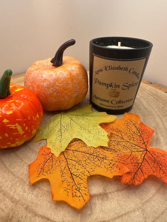 Mini Autumn Candles, Olive Wax Seasonal Candle, Toasted Marshmallow, Pumpkin Spice, Witches Brew & Gingerbread Scented Candles