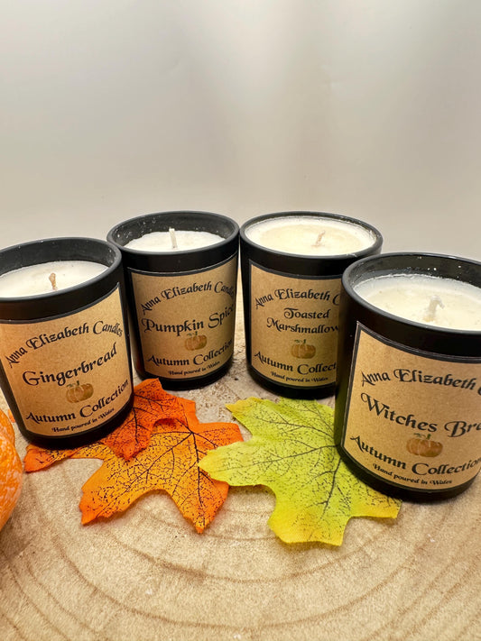 Mini Autumn Candle Full Collection, Olive Wax Seasonal Candles, Toasted Marshmallow, Pumpkin Spice, Witches Brew & Gingerbread