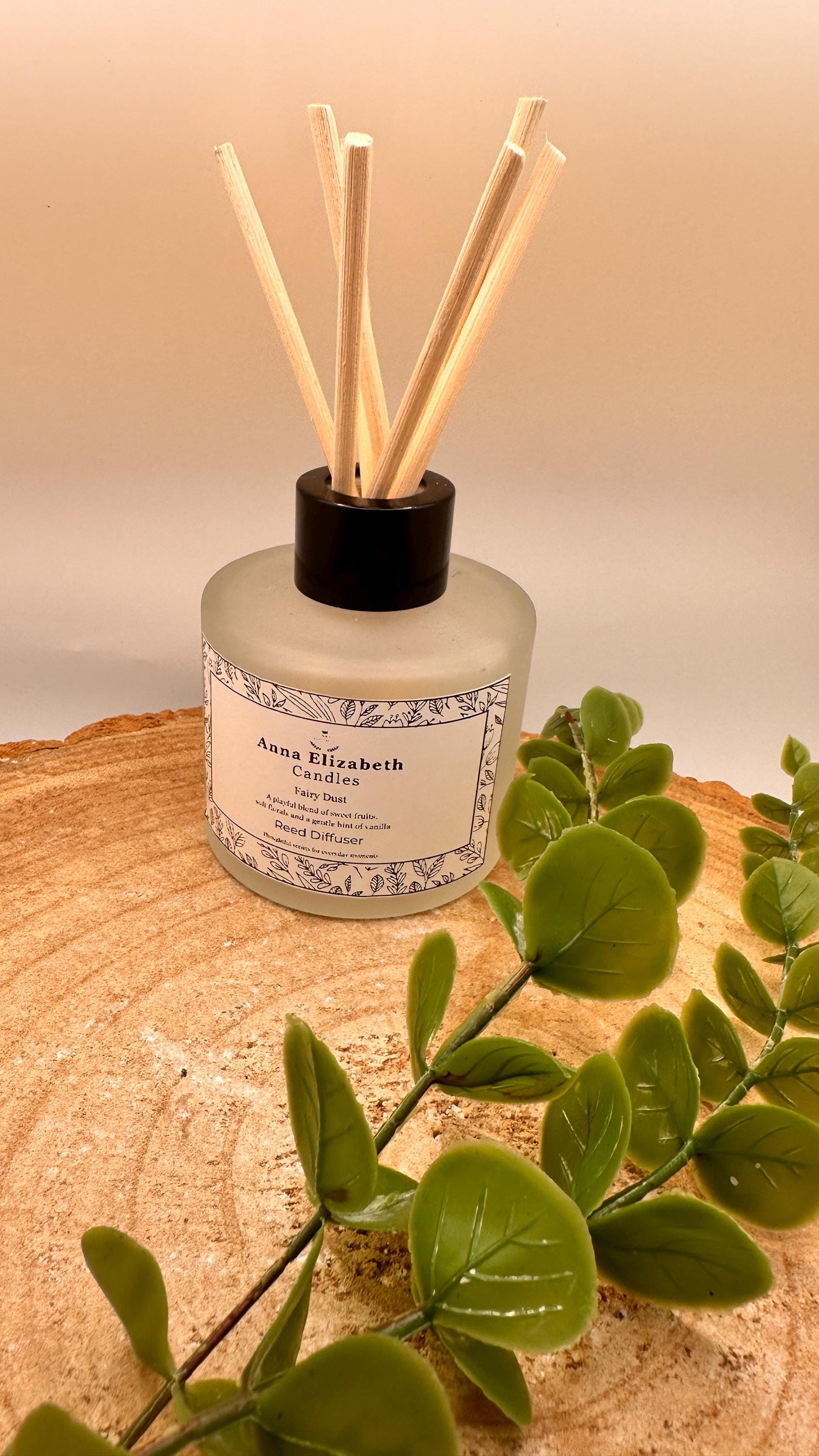 Reed Diffuser with Refill Pouch, Frosted Glass Diffuser Set, Extra Reeds, Long Lasting Room Scent, Refillable Home Fragrance