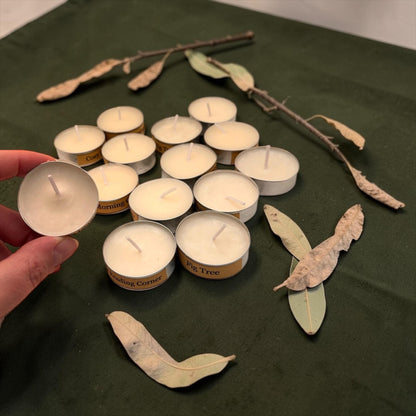 Wax Melt Tealight Gift Set, 15 Scented Tealights, Olive Wax Sampler, Home Fragrance Gift, Try All Scents