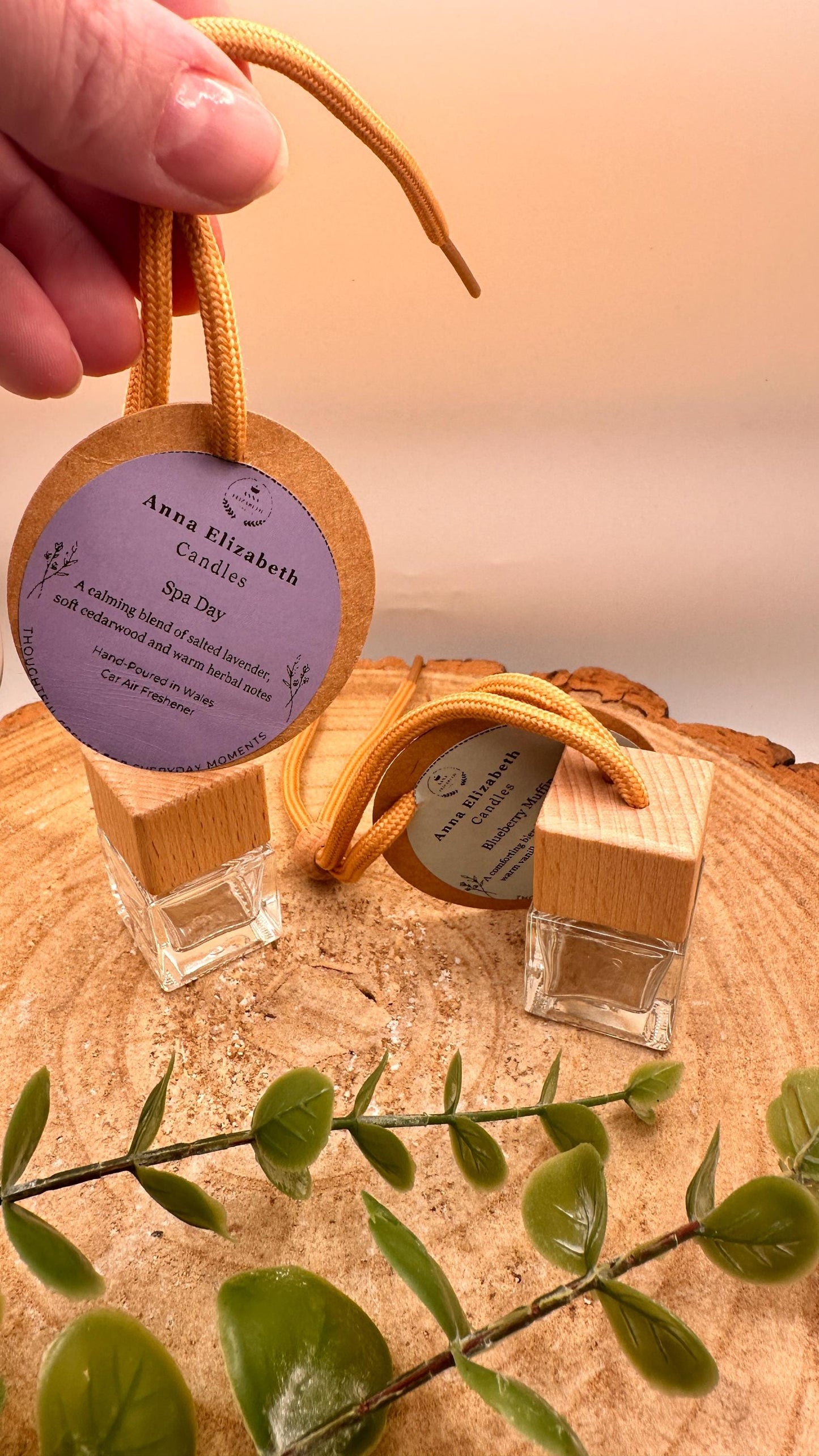 Car Air Freshener, Set of 2, Refillable Hanging Car Air Fresheners, Long Lasting Car Fragrance, Eco Friendly Gift